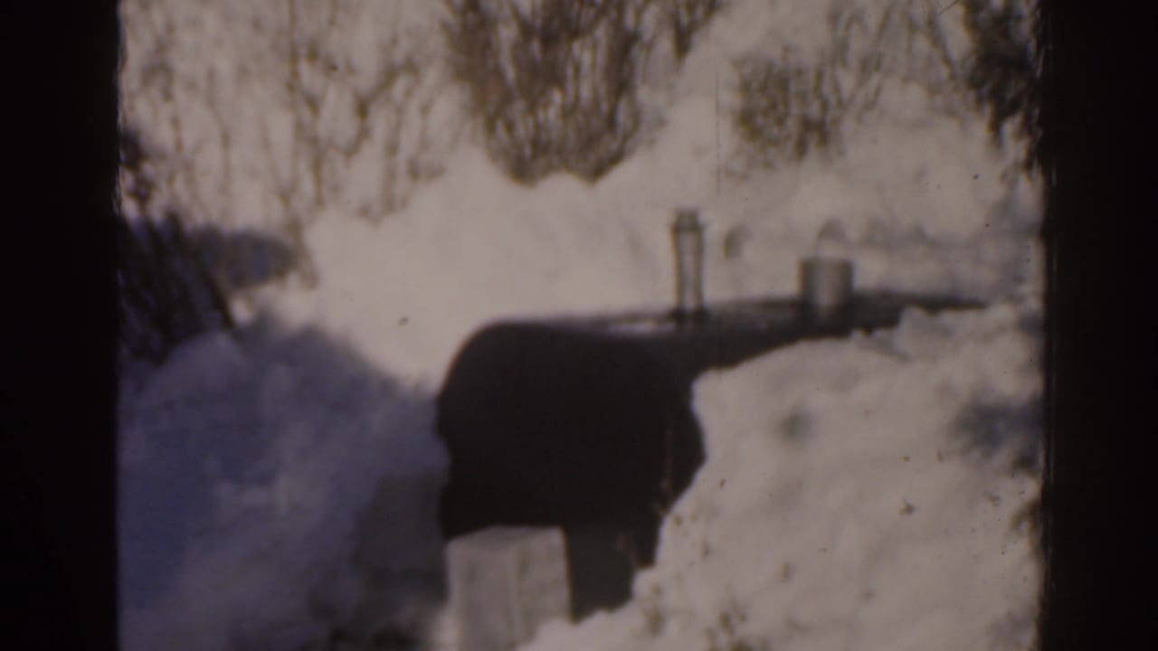 Similar snowy view with a dark object, platform, container, and bare vegetation.