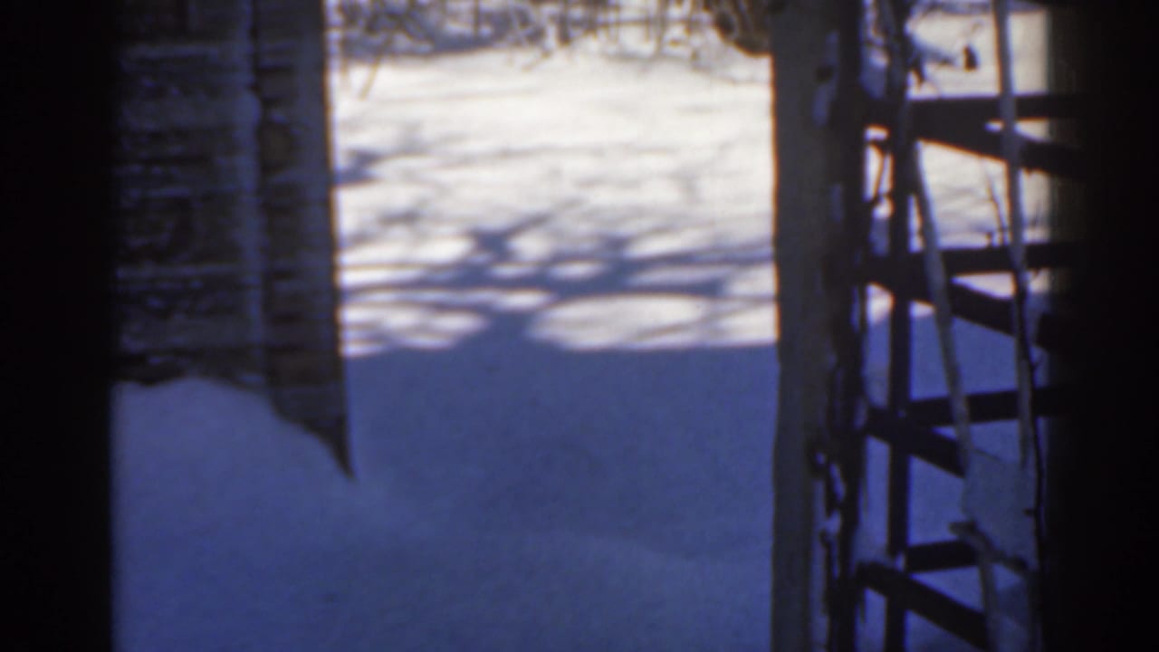 Snow-covered yard seen through a dark doorway with brick wall and ladder at the edges.