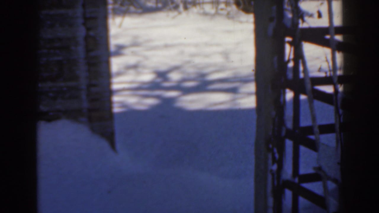 Snowy ground and tree shadows framed by a doorway, with a ladder on the right.