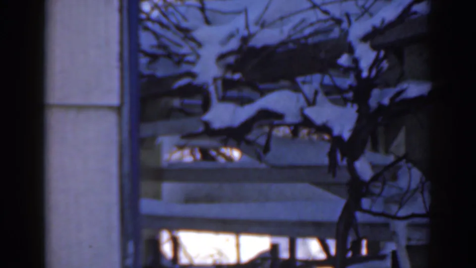 1963 Florida 8mm view of snow on tree limbs and house roofs, seen from inside or near a window opening.