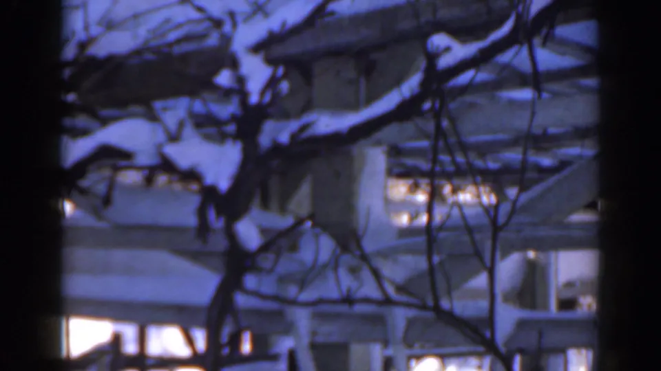 1963 Florida home-movie frame showing snowy branches and residential rooftops through a partially obstructed window or doorway.