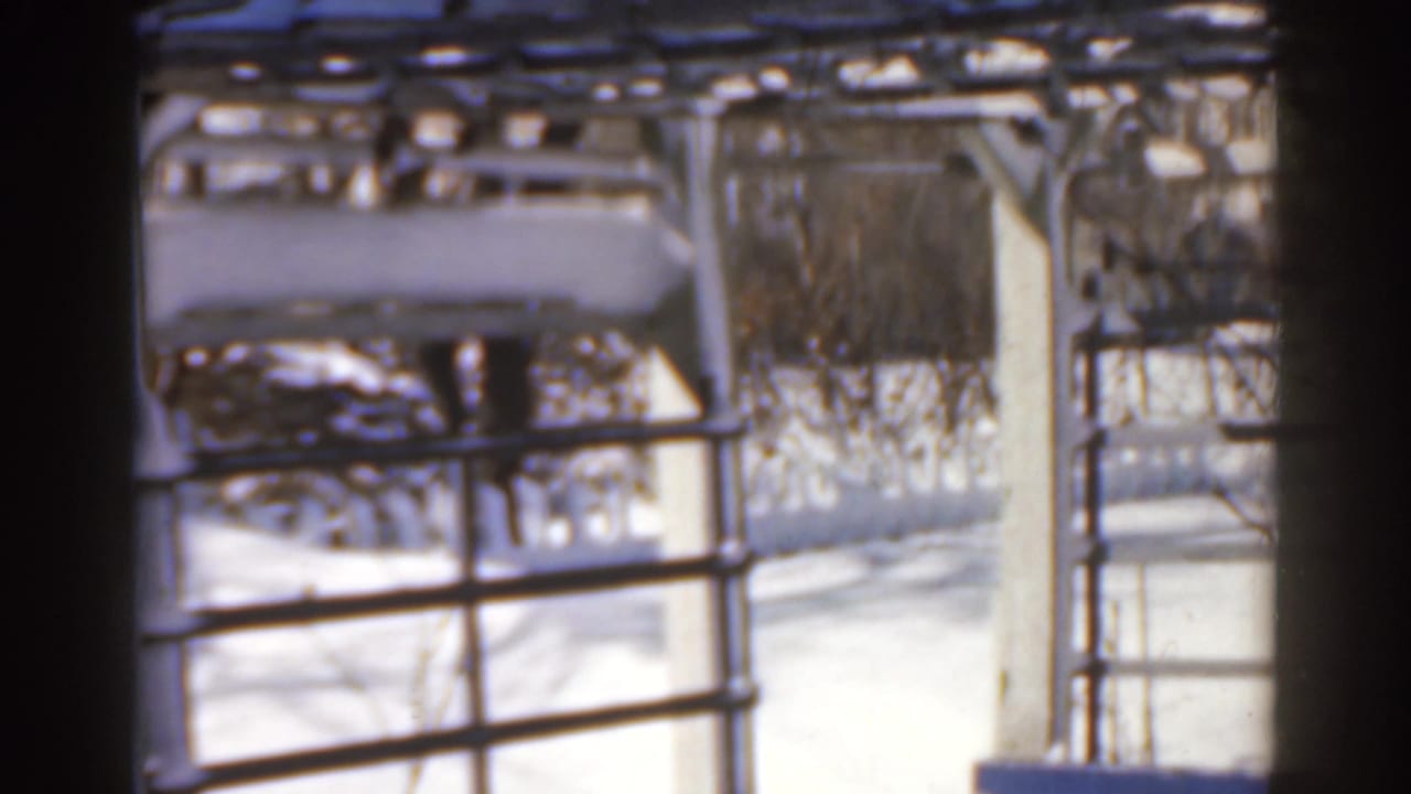Metal railings and snow-covered structure with bare trees beyond.