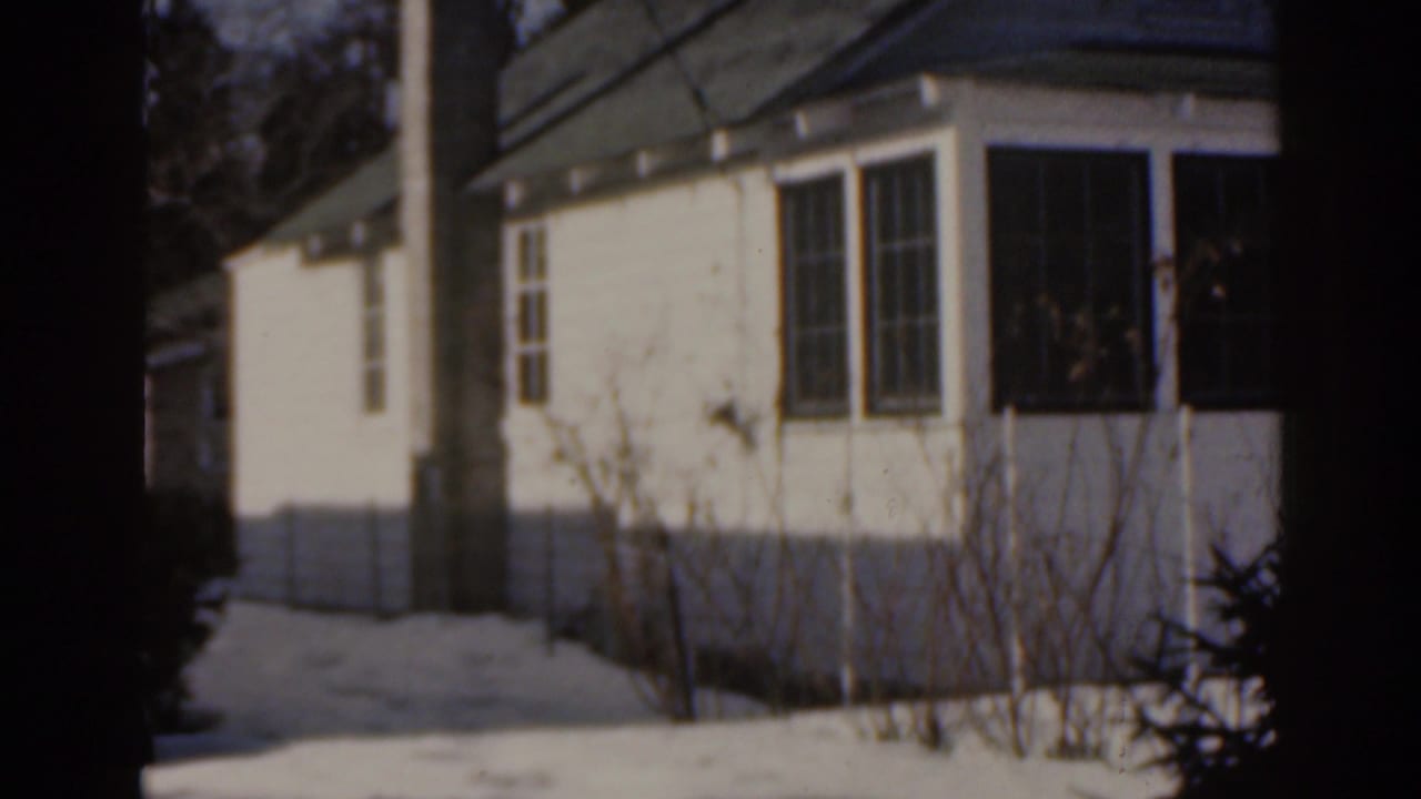 White bungalow exterior partly framed by tree trunks and pale ground cover.