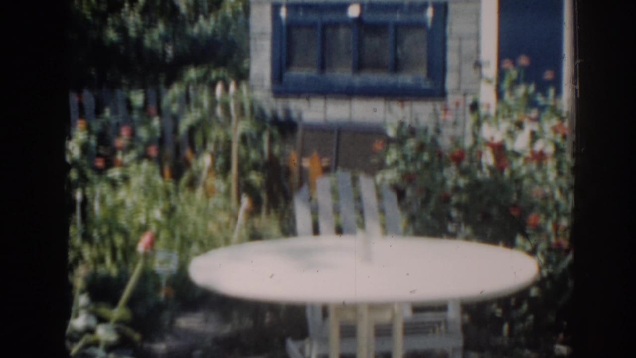 Similar backyard view with white table, chair, garden plants, and house exterior.