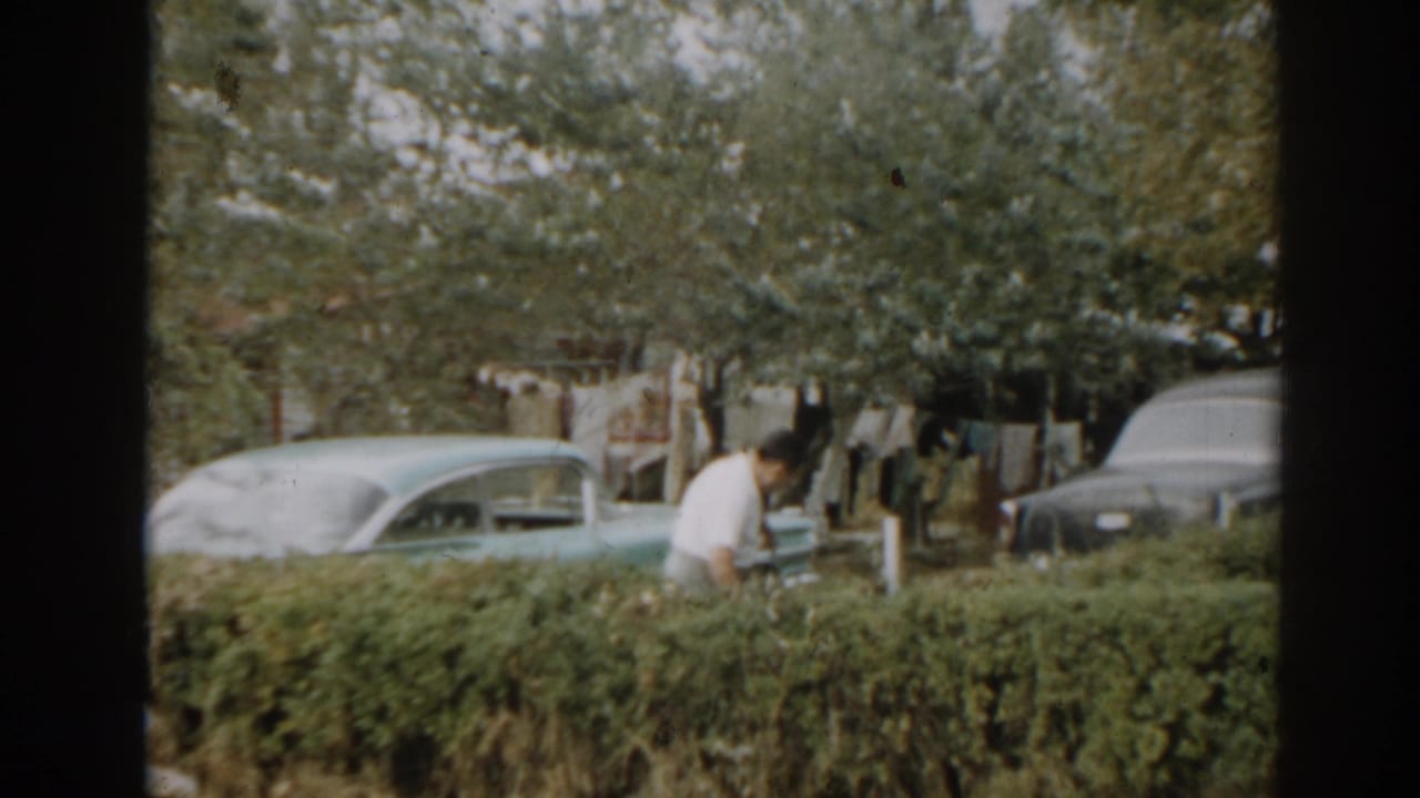 Man in a white shirt works by a hedge with parked vintage cars behind him.