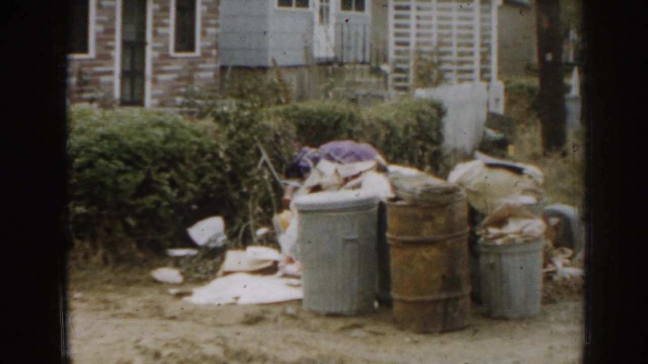 Trash cans, barrels, yard debris, and house exterior beside a hedge.