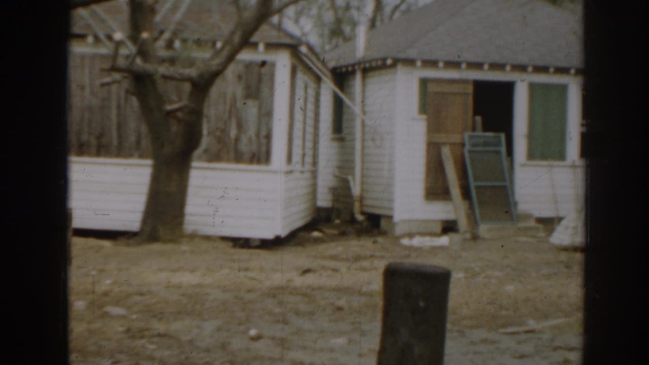 White shed with boarded openings beside a bare yard and tree.