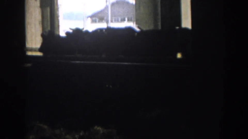 Low-light 8mm frame of cows inside a stable, with an exterior building faintly visible through the opening.