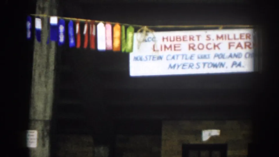 1963 home-movie frame with multicolored ribbons and a readable Hubert S. Miller Lime Rock Farm sign mentioning Holstein cattle.