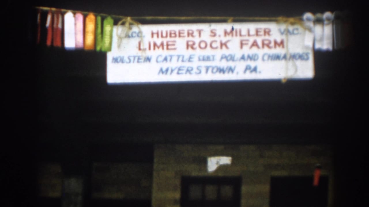 Illuminated Lime Rock Farm sign with prize ribbons in darkness.
