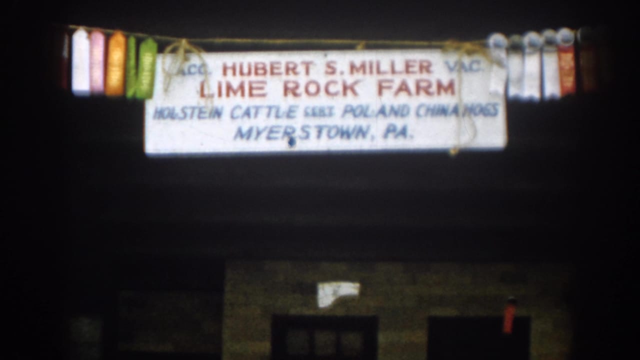 Glowing farm sign with livestock text and ribbons at night.