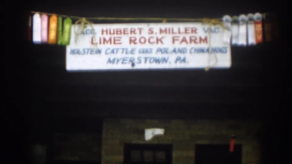 Illuminated 1963 farm sign for Lime Rock Farm, with Holstein cattle and Poland China hog wording visible above a dark building edge.