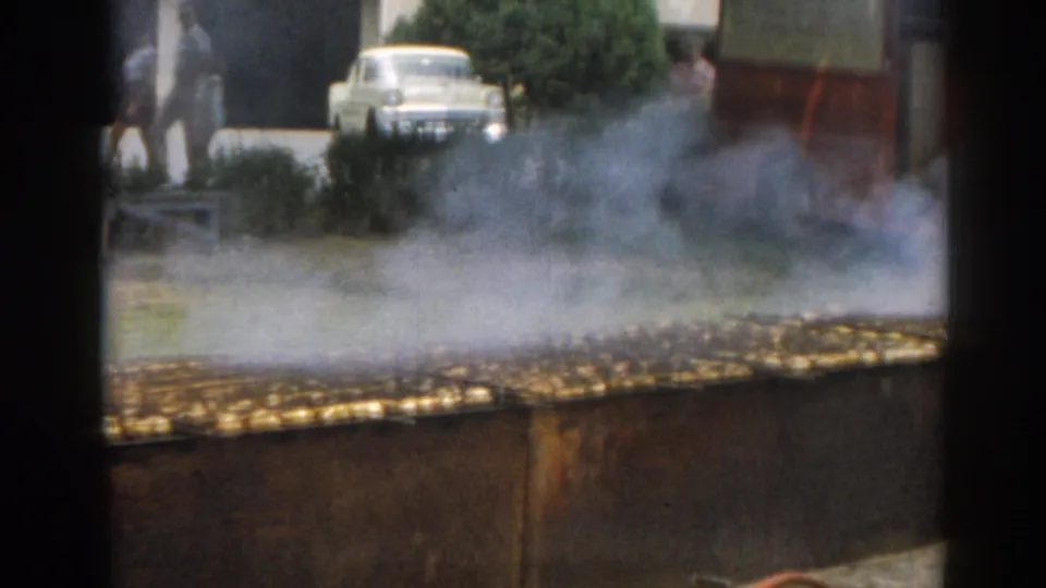 A smoky backyard barbecue scene in 1963 New Jersey, with a white car, background figures, and trees behind the grill.