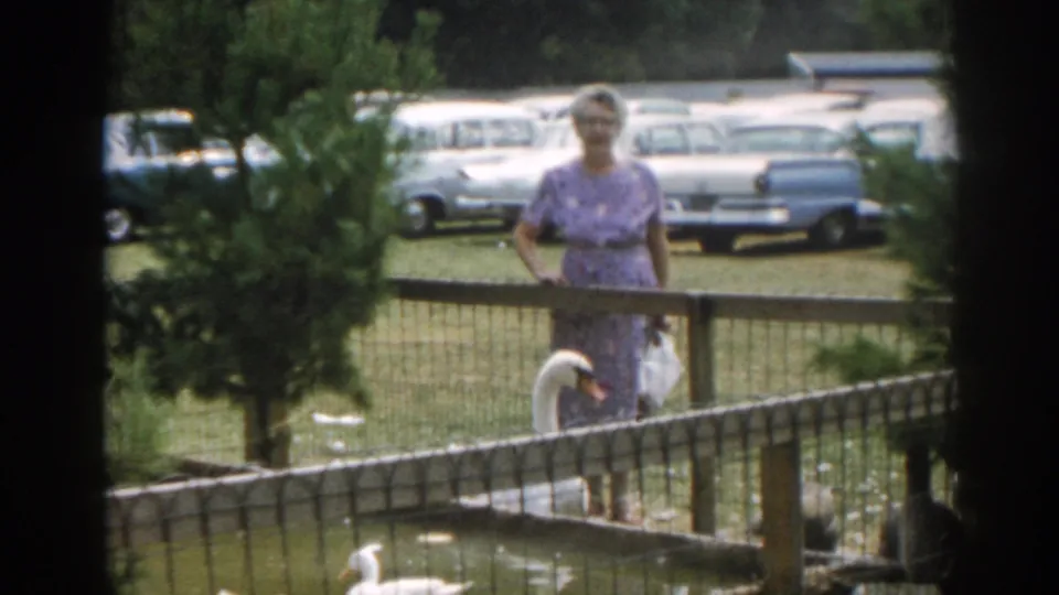 1963 New Jersey home-movie frame of a woman in a patterned dress standing near a fenced enclosure with a white swan or goose.