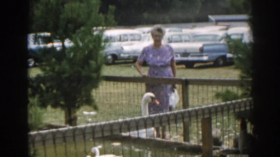 A woman stands by a fenced grassy enclosure in 1963 New Jersey, with a white swan or goose and parked cars visible behind her.