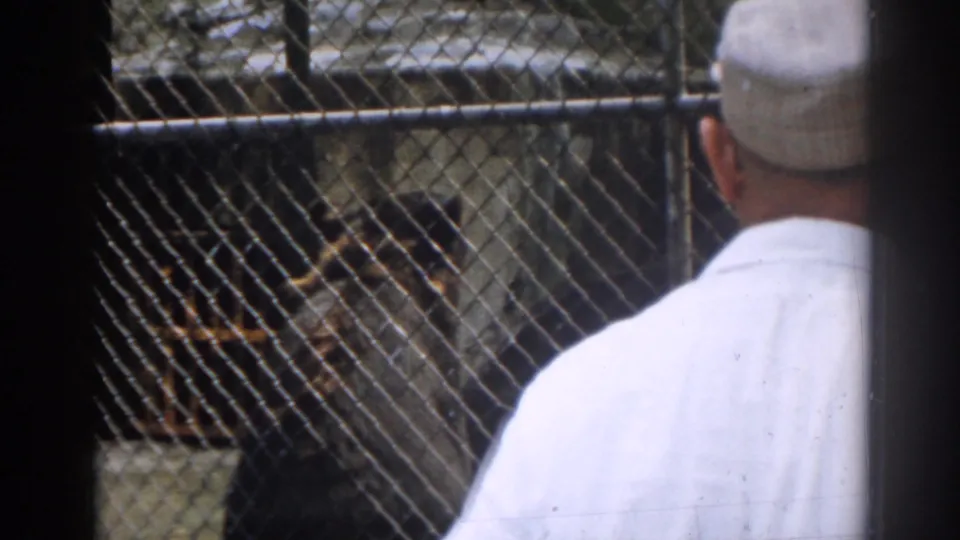 1963 New Jersey home-movie frame with visitors seen from behind while animals move inside a fenced zoo enclosure.