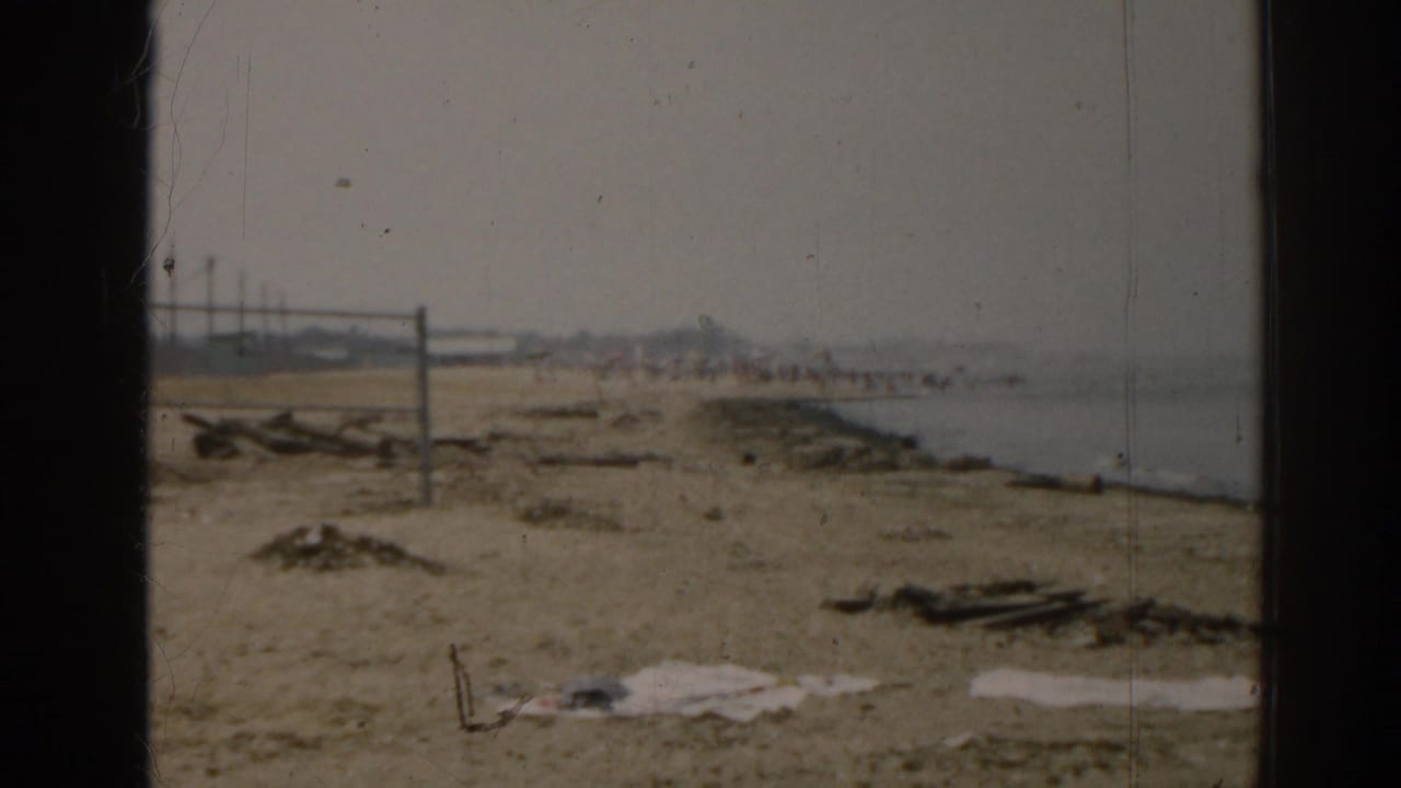 Sandy shoreline with scattered material, a distant net, and calm water under a hazy sky.