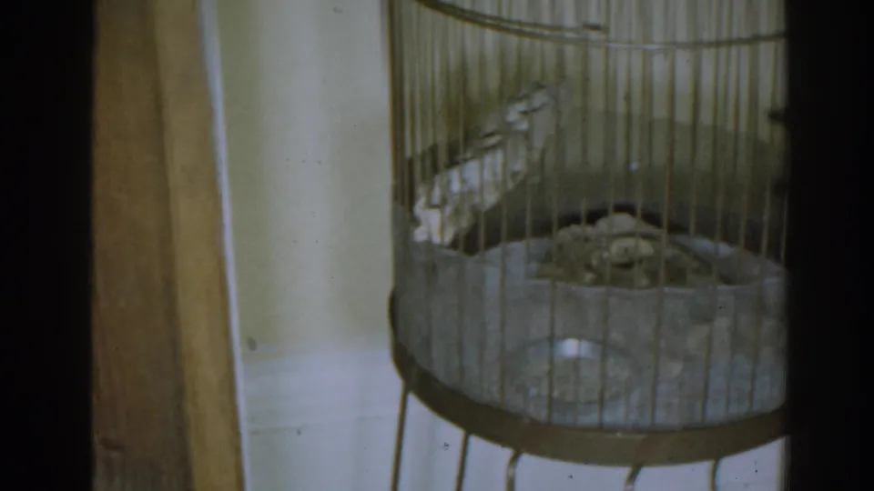 1963 New Jersey home-movie frame showing the lower section of a tan wire bird cage on a metal stand near a wooden door.