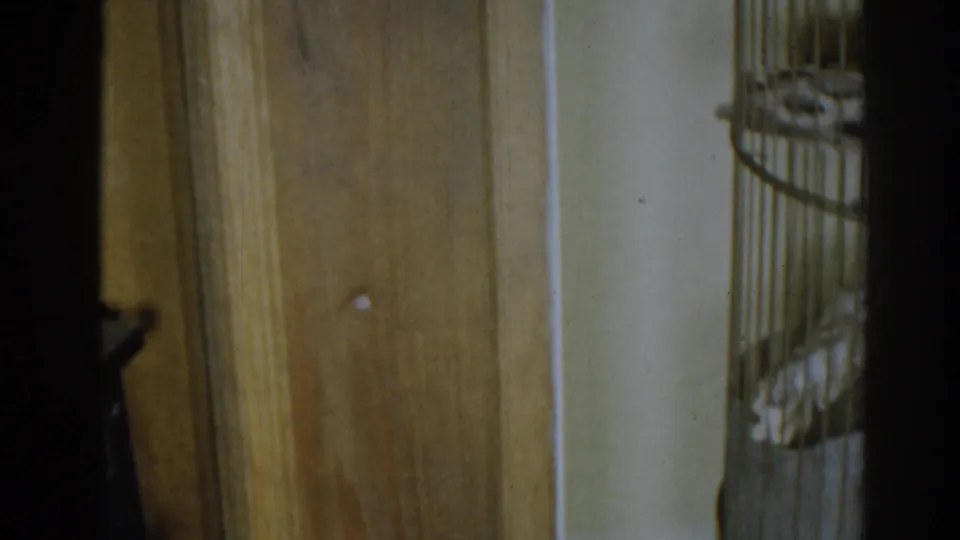 1963 New Jersey frame with a partial view of the bird cage at the right edge beside a brown wooden door and pale interior wall.