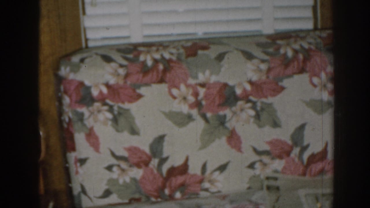 Floral sofa upholstery below white horizontal blinds, framed by dark film borders.