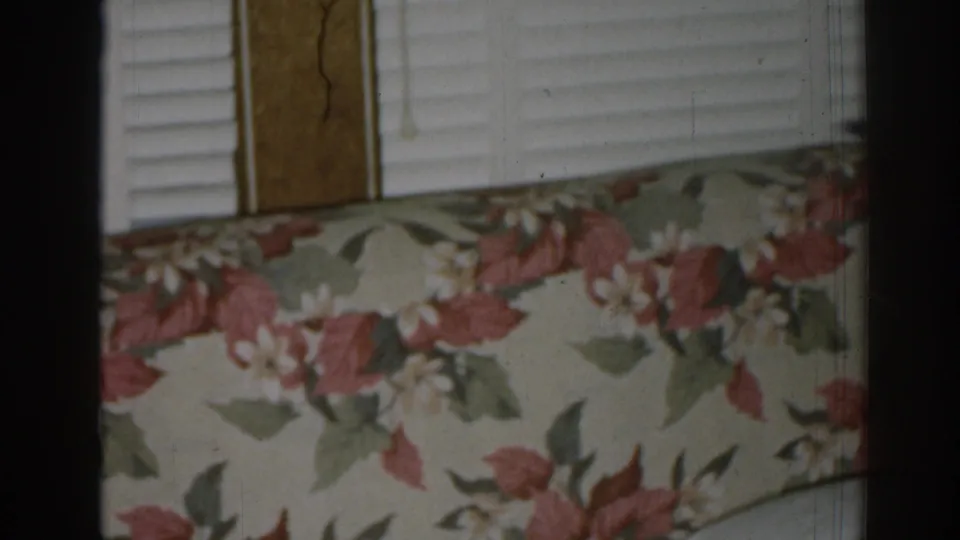 1963 New Jersey home-movie frame showing floral couch upholstery beneath white blinds and vertical wood trim.