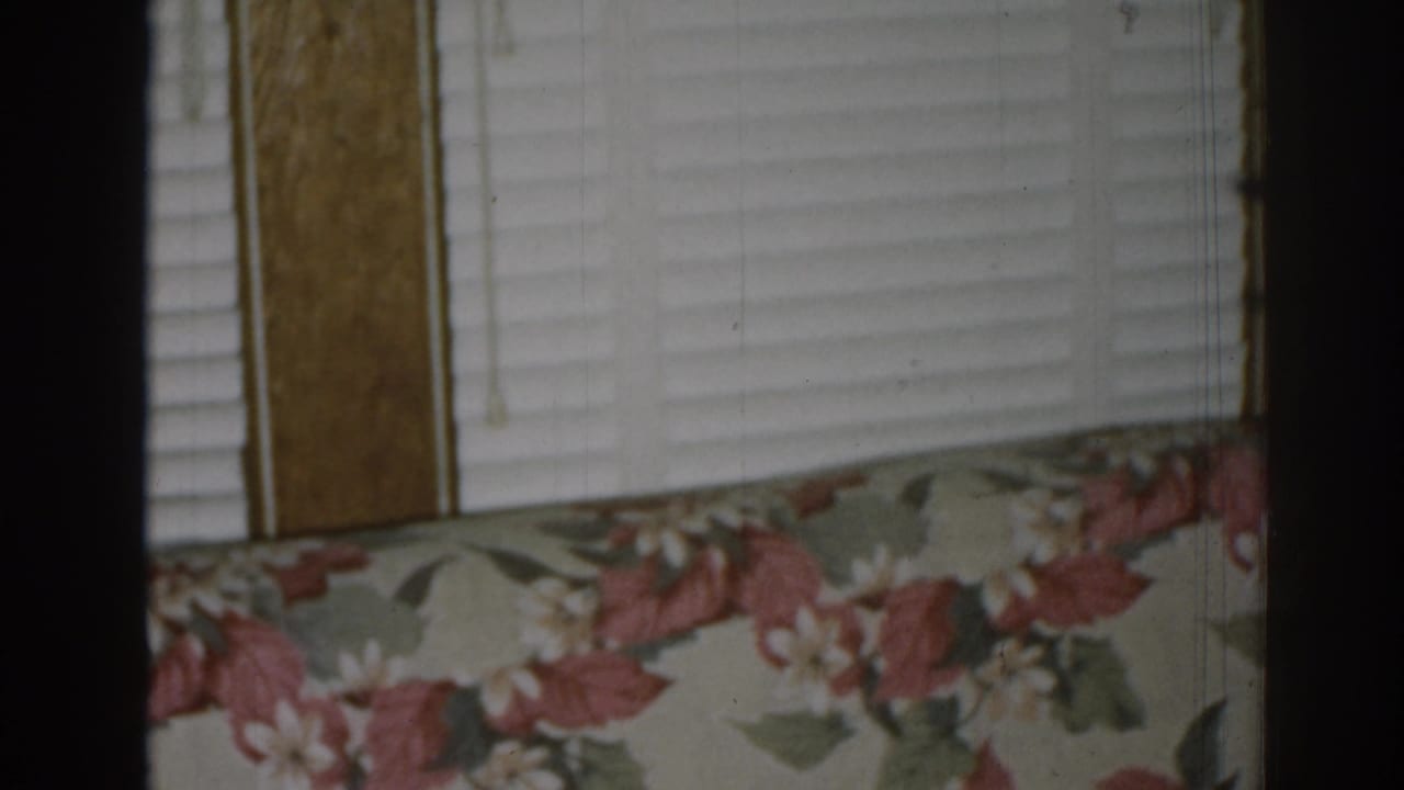 A close interior view from 1963 New Jersey shows red-and-green floral upholstery, white blinds, and wood trim.
