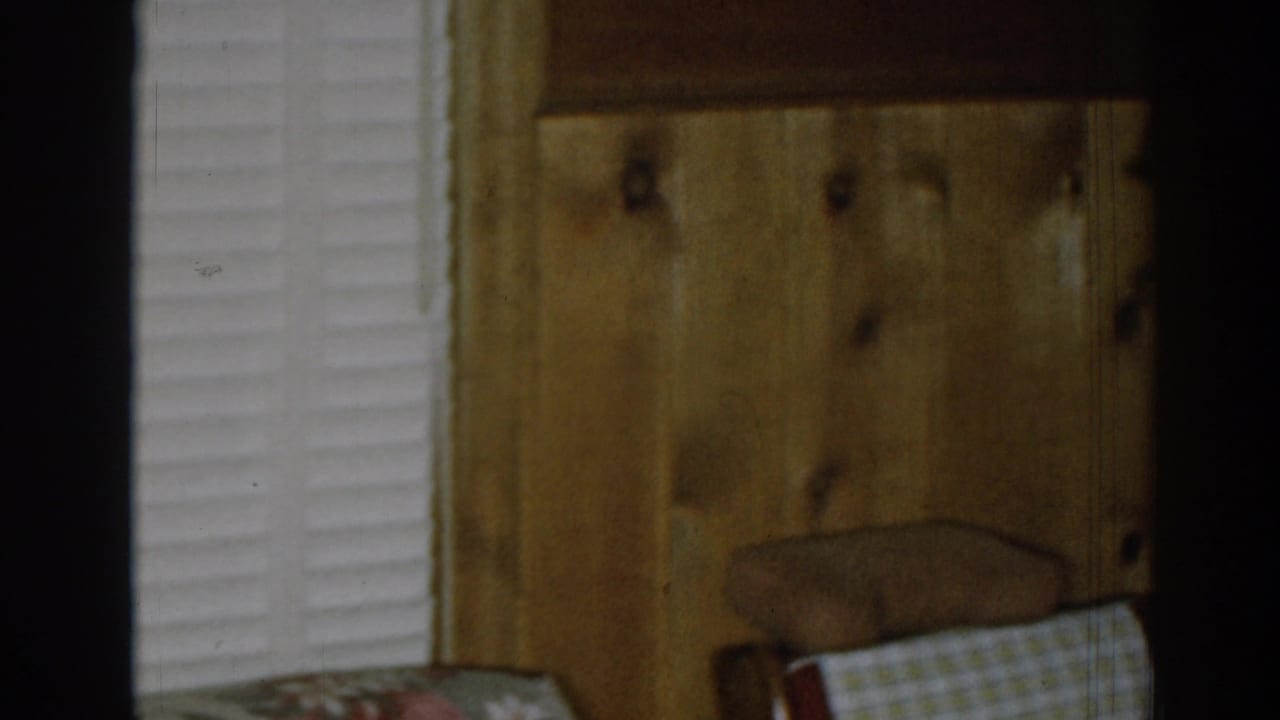 Wood-paneled living room corner with shuttered window, upholstered chair, and wall lamp.