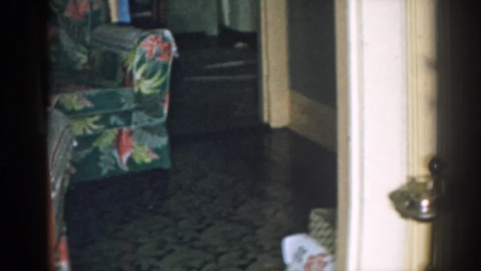 1963 New Jersey interior frame showing a floral upholstered armchair, doorway, hallway shadows, and dark patterned carpet.