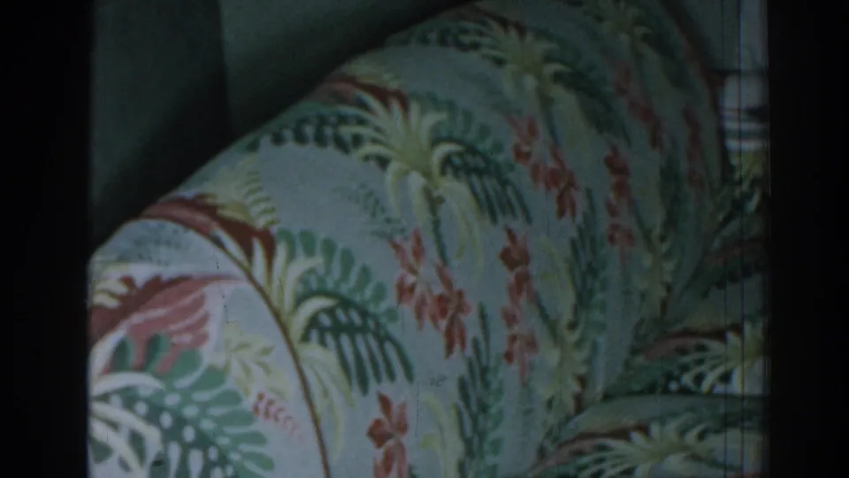 The final frame shifts to tropical-patterned upholstery near the indoor bird cage setting.