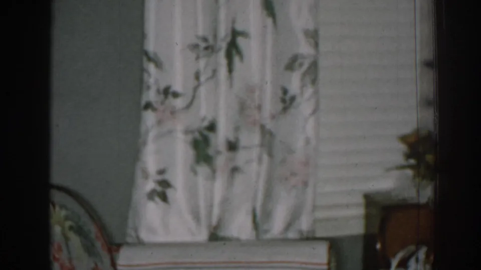 1963 New Jersey interior frame with floral curtain, horizontal blinds, armchair edge, and part of a side table.