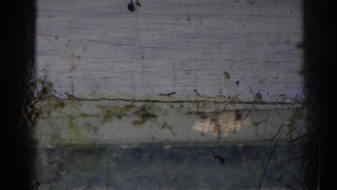 Scratched film frame with a dark vertical flaw and soft outdoor color.
