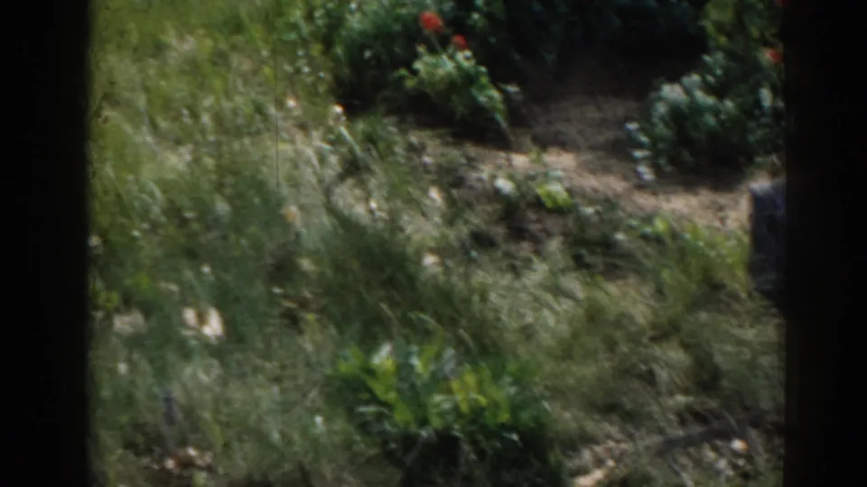 1963 New Jersey 8mm cemetery view with grass, shrubs, small flowers, and a partial grave marker edge in faded color.