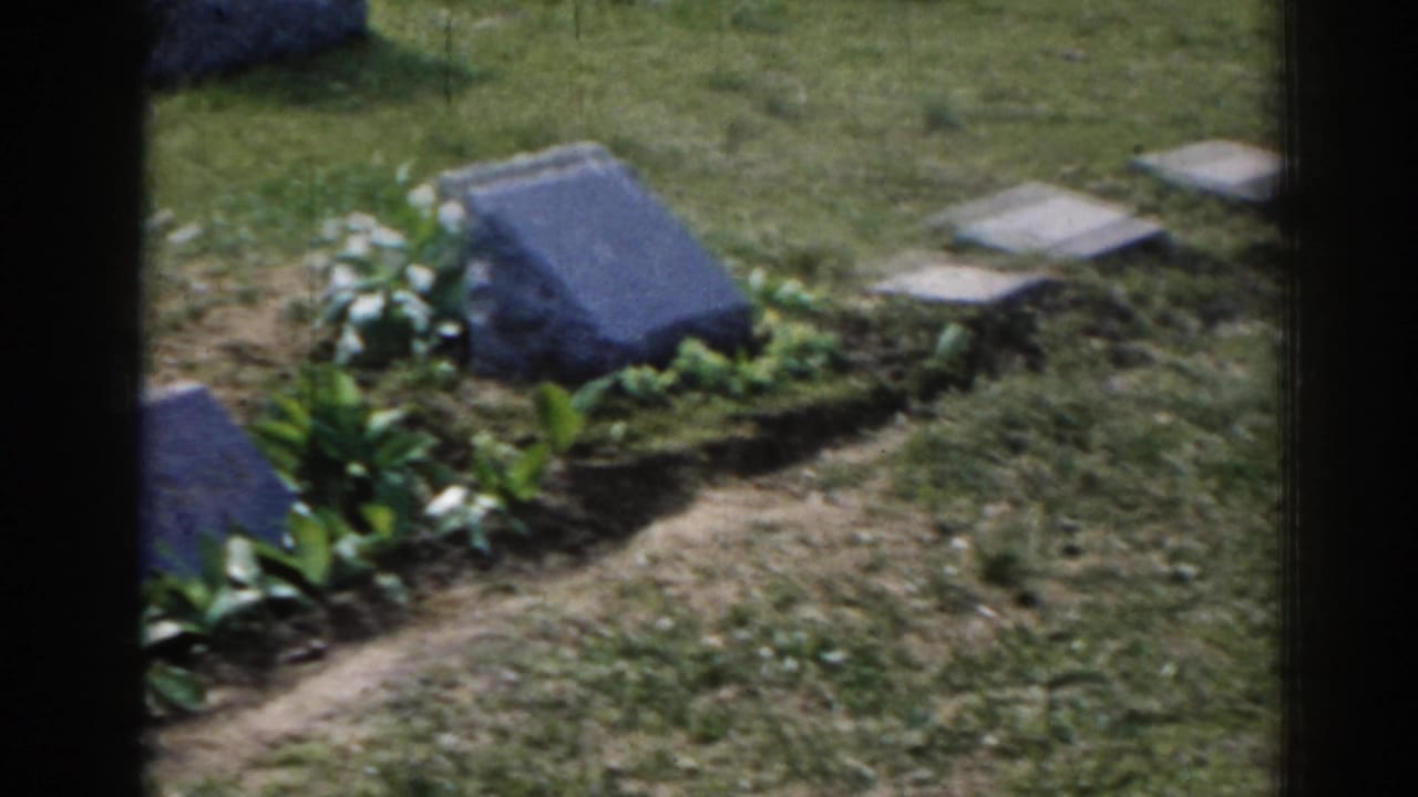 Small grave marker beside grass, flowers, and a narrow planted bed.