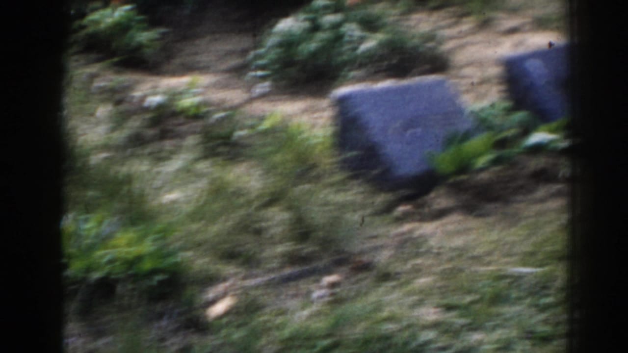 Blurred grey cemetery markers on a grassy slope with plants nearby.