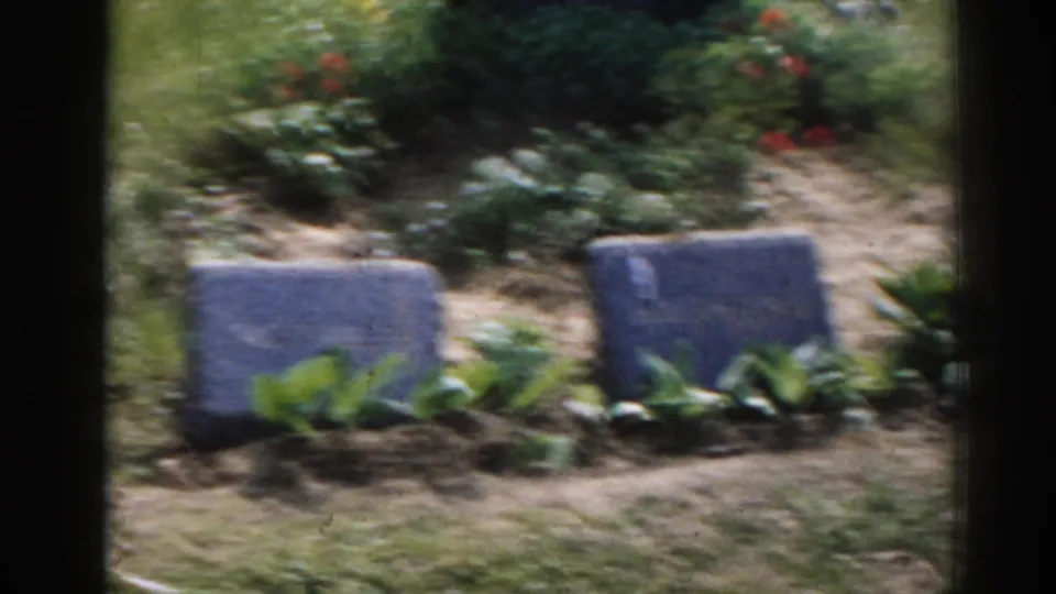 1963 New Jersey 8mm frame showing low grey grave markers, planted greenery, reddish flowers, and dry grass in a cemetery plot.