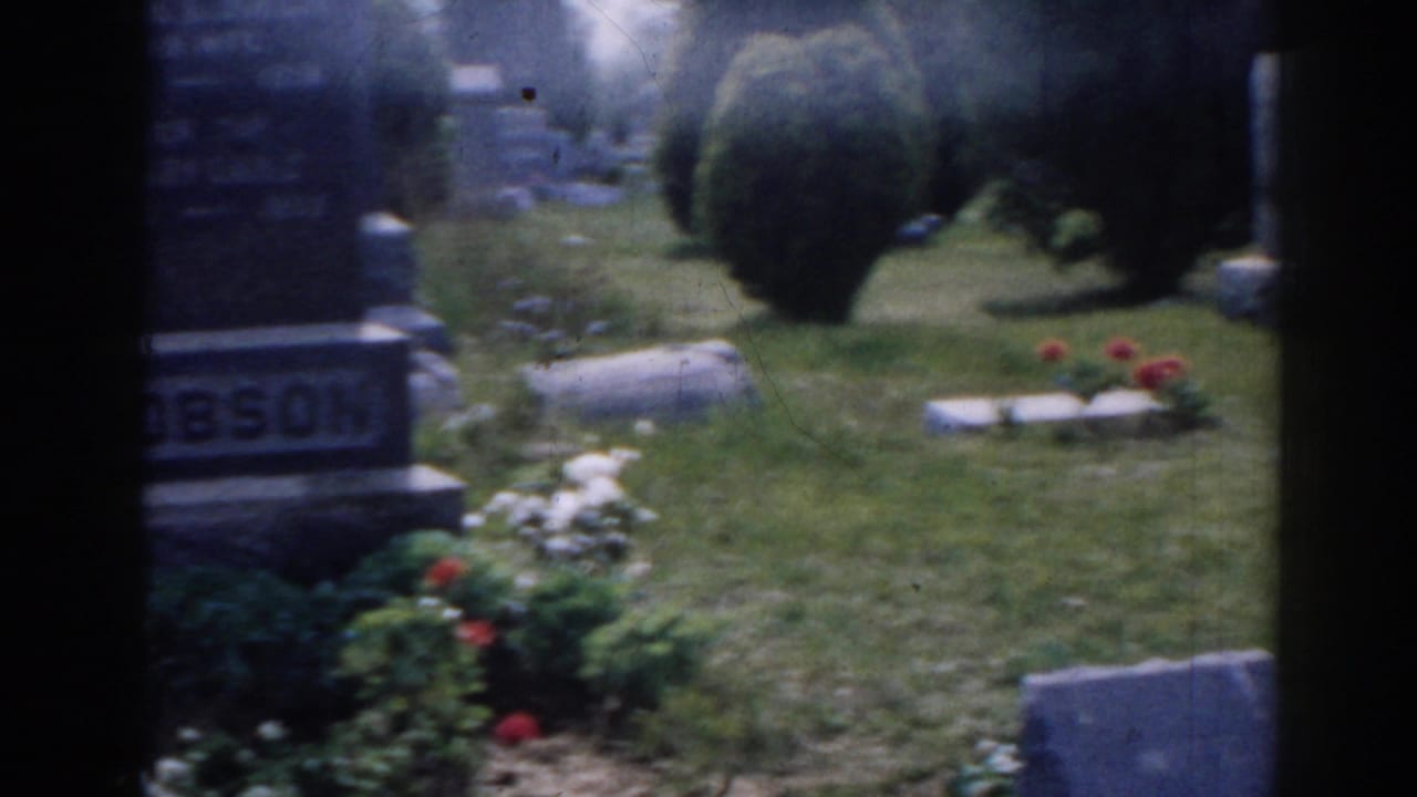 Cemetery lawn with headstones, flowers, shrubs, and part of a grave marker reading Dobson.