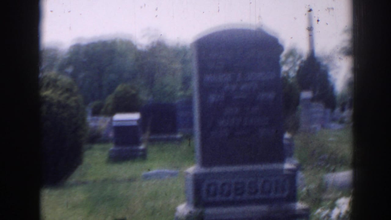 Cemetery grounds with upright headstones, shrubs, grass, and a Dobson family monument.