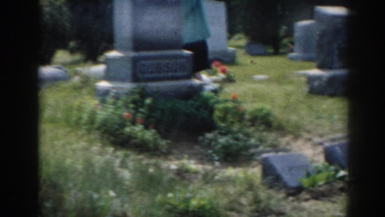 Gravestone with flowers and surrounding cemetery markers.