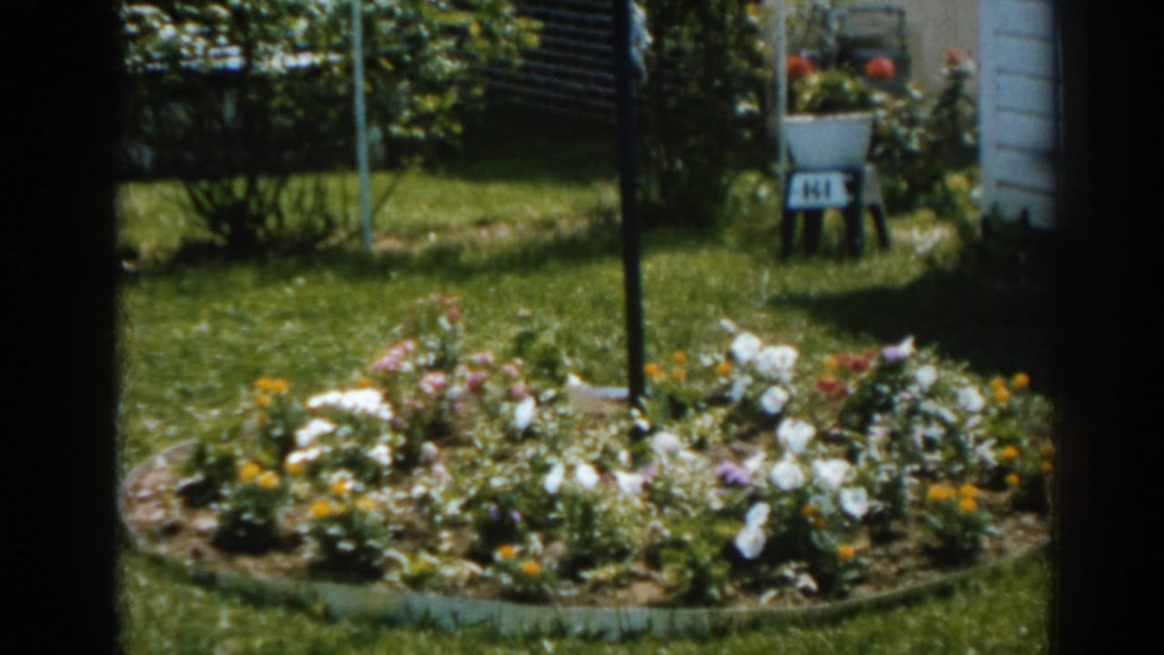 A circular flower bed fills the 1963 New Jersey backyard frame, with lawn, white house siding, and garden structures nearby.