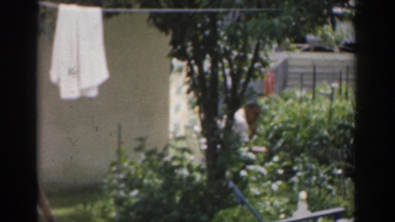Backyard garden with a white towel on a clothesline and a seated person partly visible.