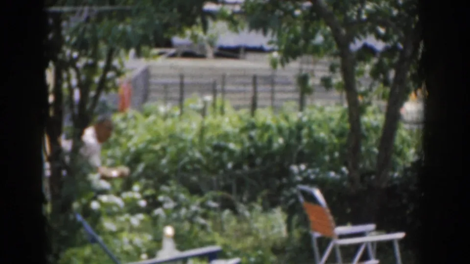 1963 New Jersey backyard scene with dense garden greenery, trees, fencing, a partly visible person, and a folding lawn chair.