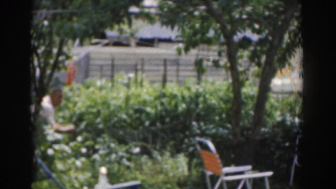 Backyard garden with trees, folding chairs, and a distant person near a fence.