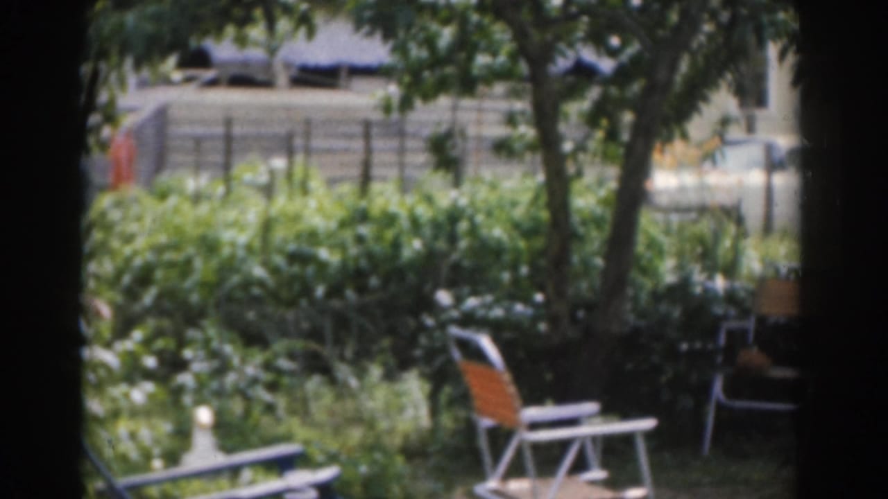 Trees and garden foliage with folding chairs and a pale car in the background.