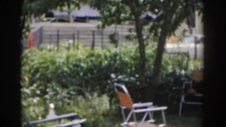 1963 New Jersey backyard view with tree trunks, folding lawn chairs, dense greenery, and a pale car beyond the fence.