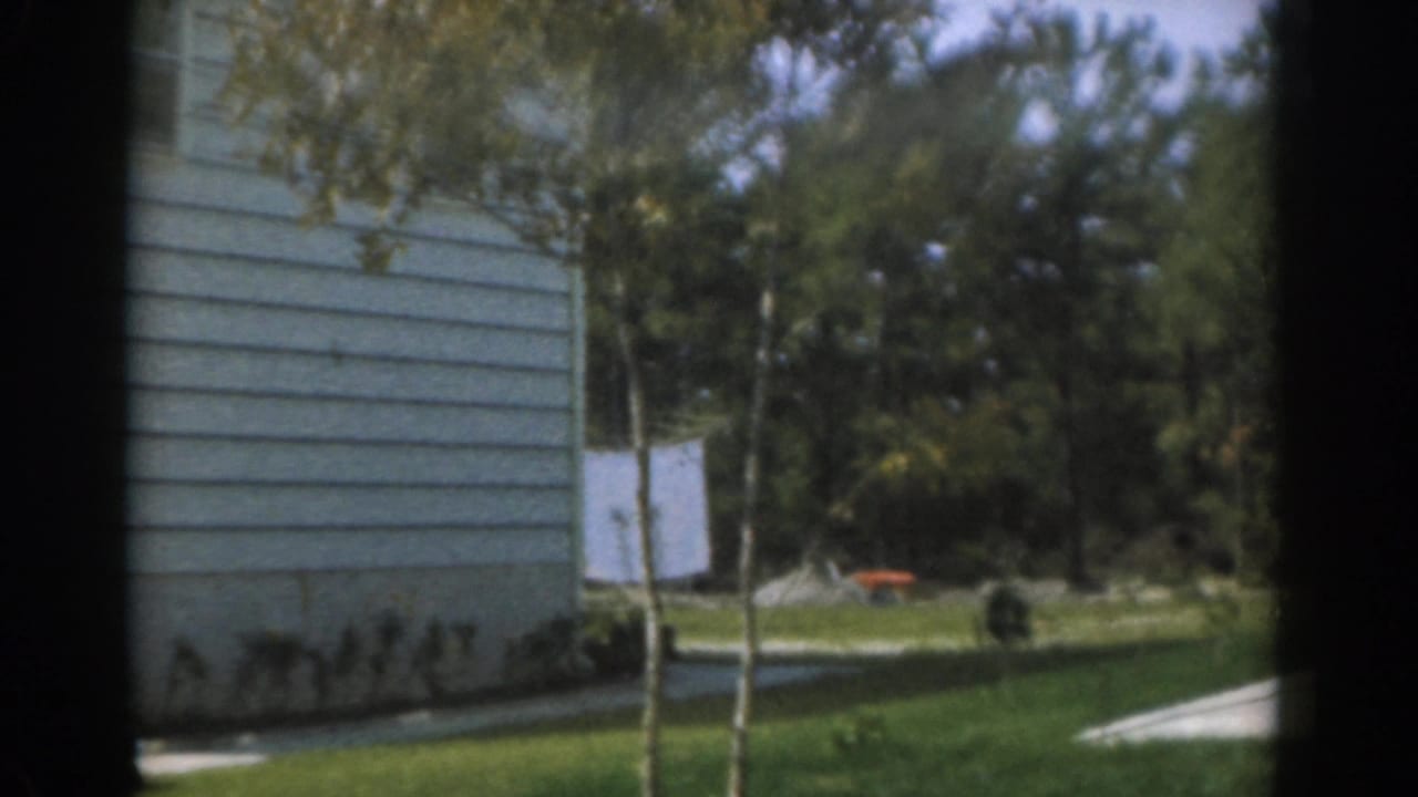 Street-side view of house siding, lawn, trees, and part of a residential yard.