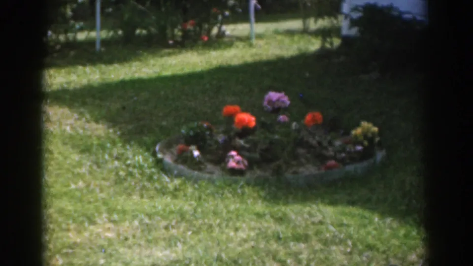 1963 New Jersey home-movie frame showing a sunny green lawn with a circular flower bed of red and purple blooms near the house.
