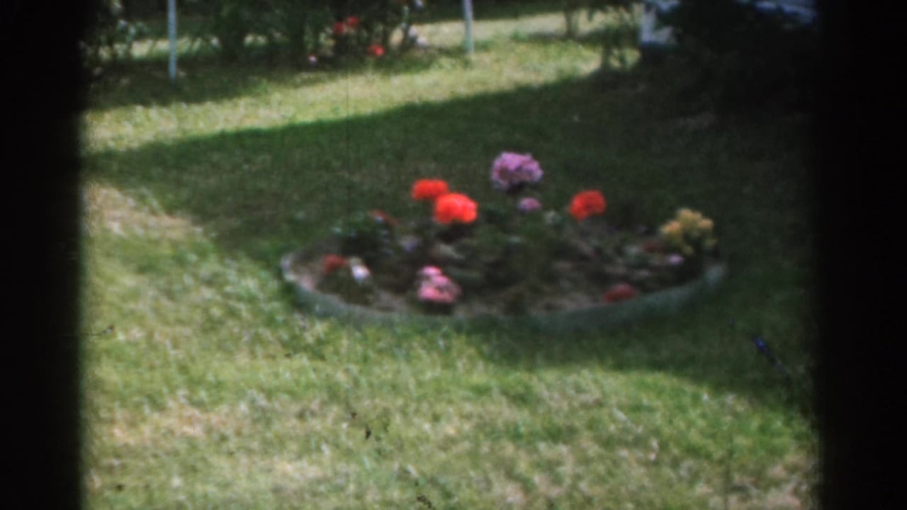 1963 New Jersey home-movie frame showing a circular flower bed with colorful blooms in a suburban yard.