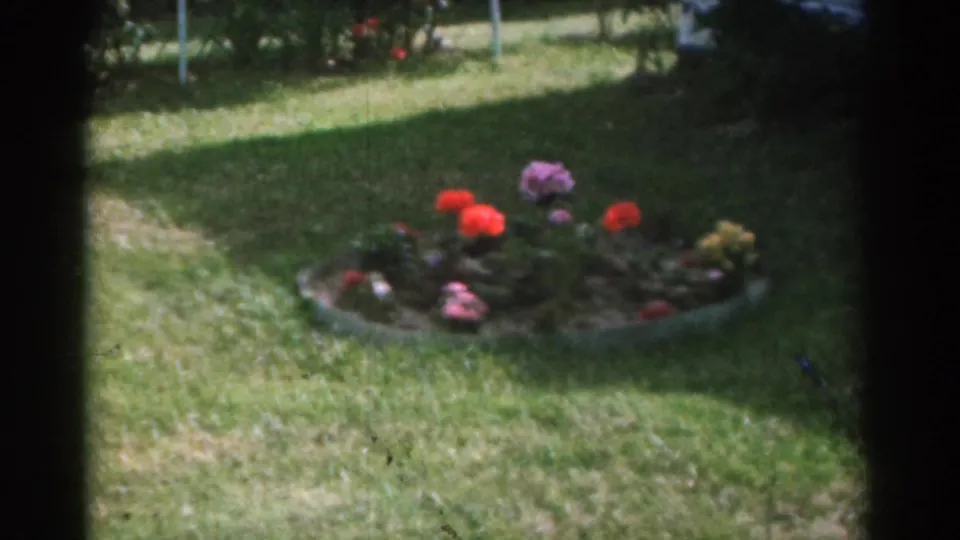 1963 New Jersey home-movie frame showing a circular flower bed with colorful blooms in a suburban yard.
