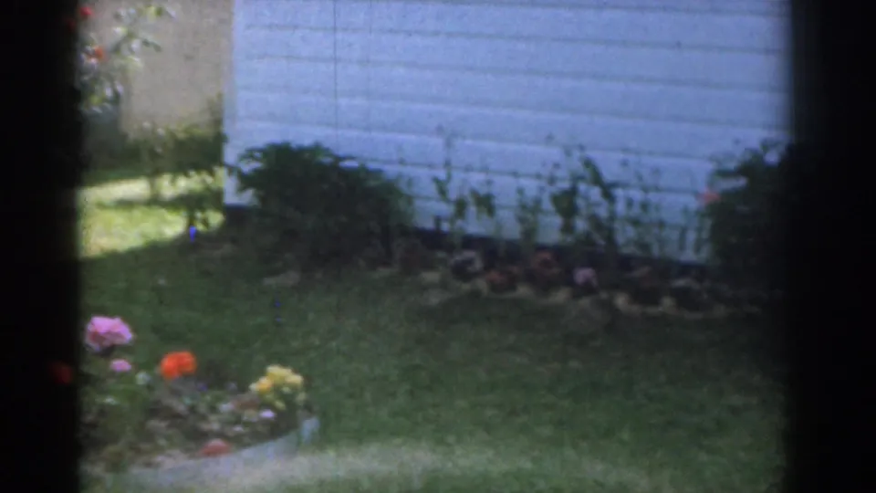 Suburban New Jersey garden beside white clapboard siding, with flowers and shrubs in soft 8mm color.