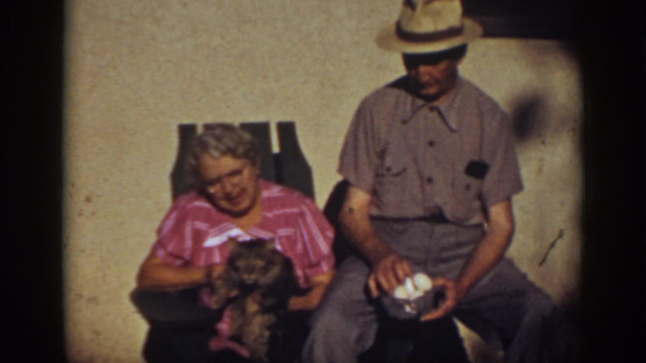 Woman looks toward the camera while holding a cat as a man holds eggs beside her.